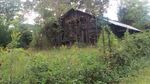 Countryside-3-House.jpg