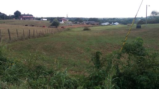 Countryside-1.jpg