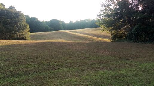 Countryside-5.jpg
