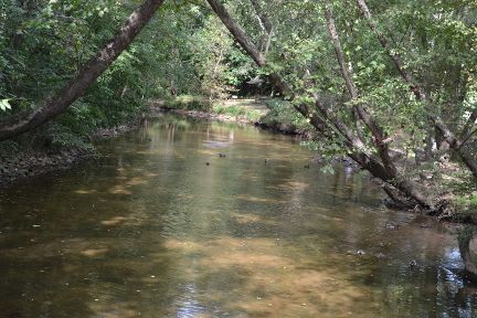 Park River.JPG