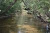 Park River.JPG