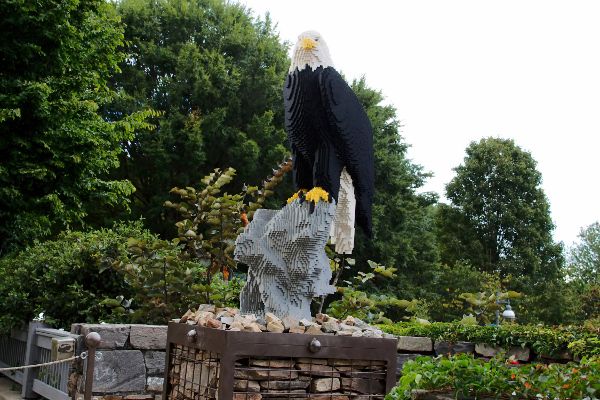 Bald-Eagle.jpg