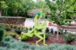 Praying-Mantis.jpg
