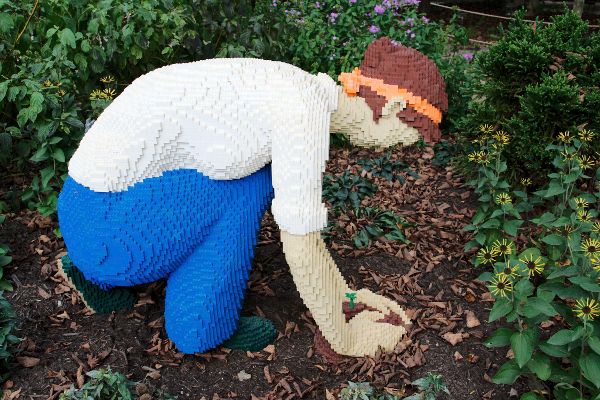 The-Gardener.jpg