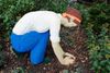 The-Gardener.jpg
