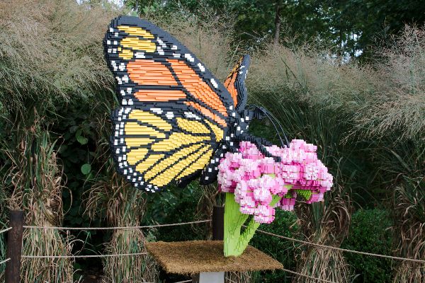 Monarch-and-Milkweed.jpg