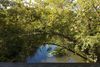Franklin-Greenway-Bridge-View.jpg