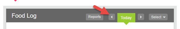Food Log Navigation