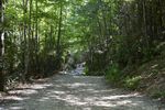 Hiking-Trail-Small.JPG