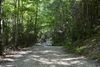Hiking-Trail-Small.JPG