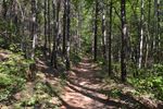 Trail-Small.JPG