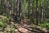 Trail-Small.JPG