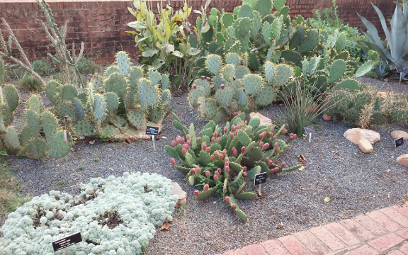 Botanical-Garden-1-small.jpg