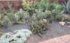 Botanical-Garden-1-small.jpg