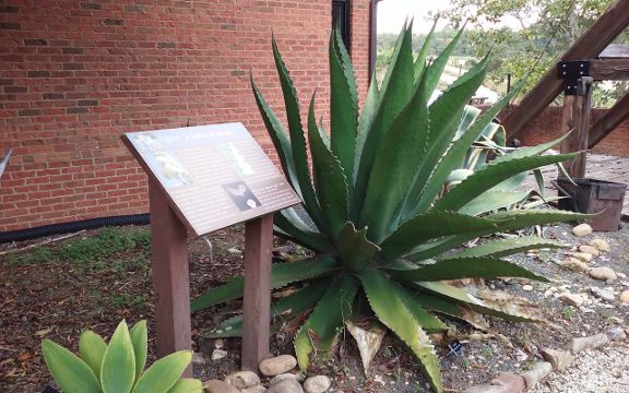Botanical-Garden-3-small.jpg