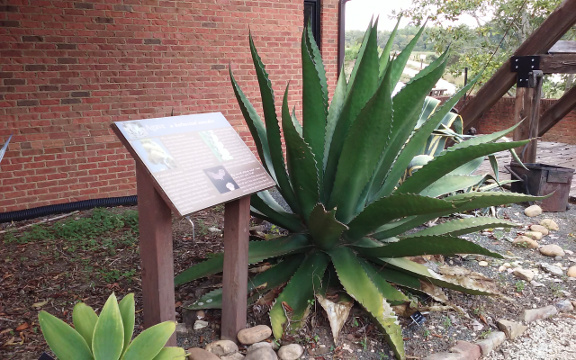 Botanical-Garden-3-small.jpg