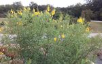 Botanical-Garden-4-small.jpg