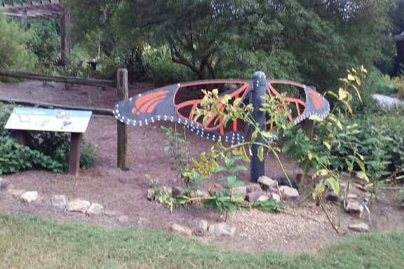 Butterfly-Garden-1-small.jpg