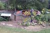 Butterfly-Garden-1-small.jpg