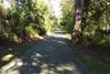 Hiking-Trail-Small.jpg