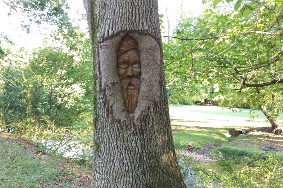 Tree-Carving-Small.jpg