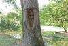 Tree-Carving-Small.jpg