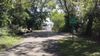 Trail-4.jpg