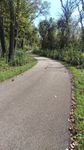 Trail-1.jpg
