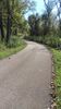 Trail-1.jpg