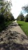 Trail-3.jpg