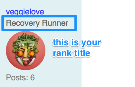 rank title 1.png