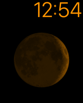 IMG_0359.PNG