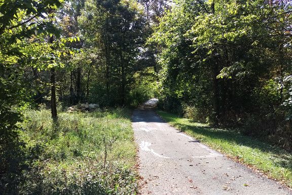 Walk-Trail-Small.jpg