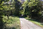 Walk-Trail-Small.jpg
