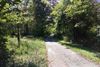 Walk-Trail-Small.jpg