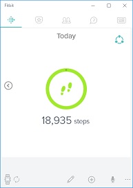 fitbit-mindashboard.jpg