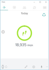 fitbit-mindashboard.jpg