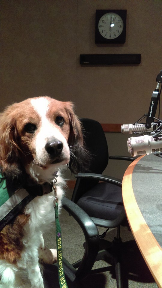 12063821_10209050770570346_2201446720253989259_n (1).jpg