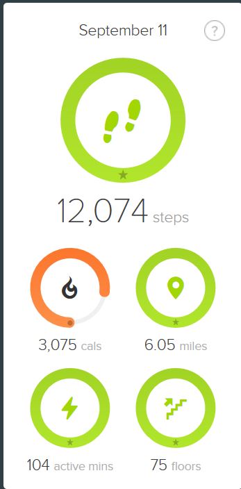 fitbit floors 9=11.JPG