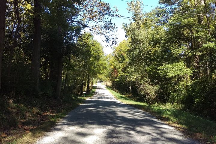 Trail.jpg