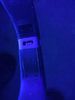 black light.JPG