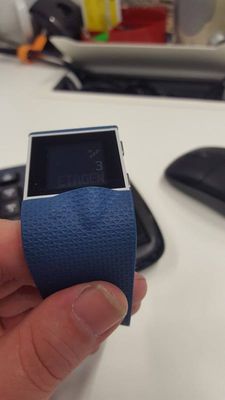 14686245_10209084136715379_66359745_n.jpg