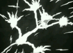 2f5tw.gif