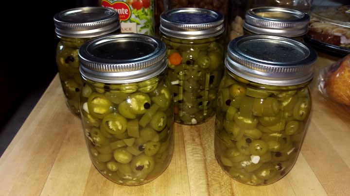 Jalapeno Peppers.jpg