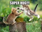 Super-Hug.jpg