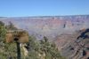 DSC_0052.JPG