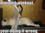 Morning_Workout.jpg