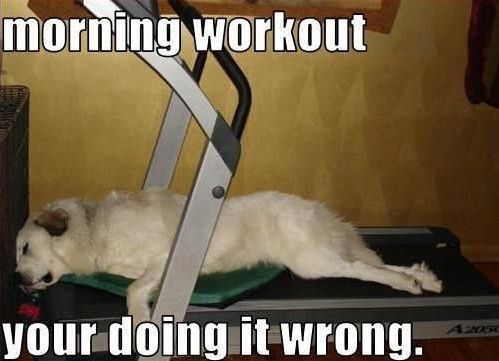 Morning_Workout.jpg