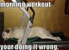 Morning_Workout.jpg