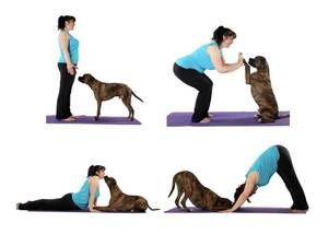 DOGA.jpg